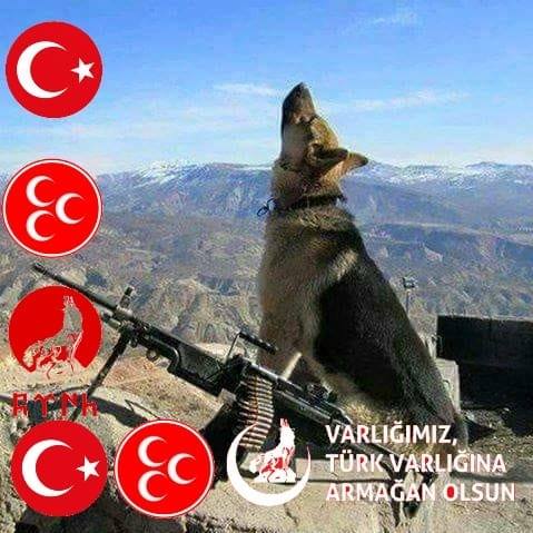 Zafer