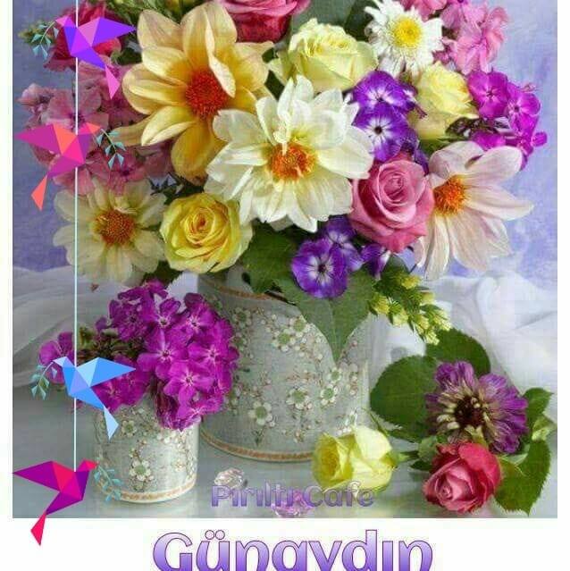 Nese