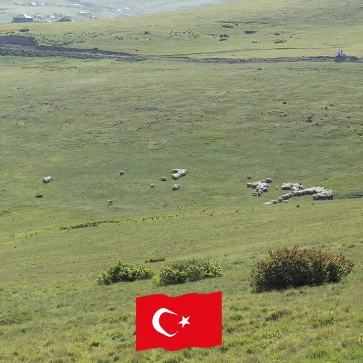 Sebahattin