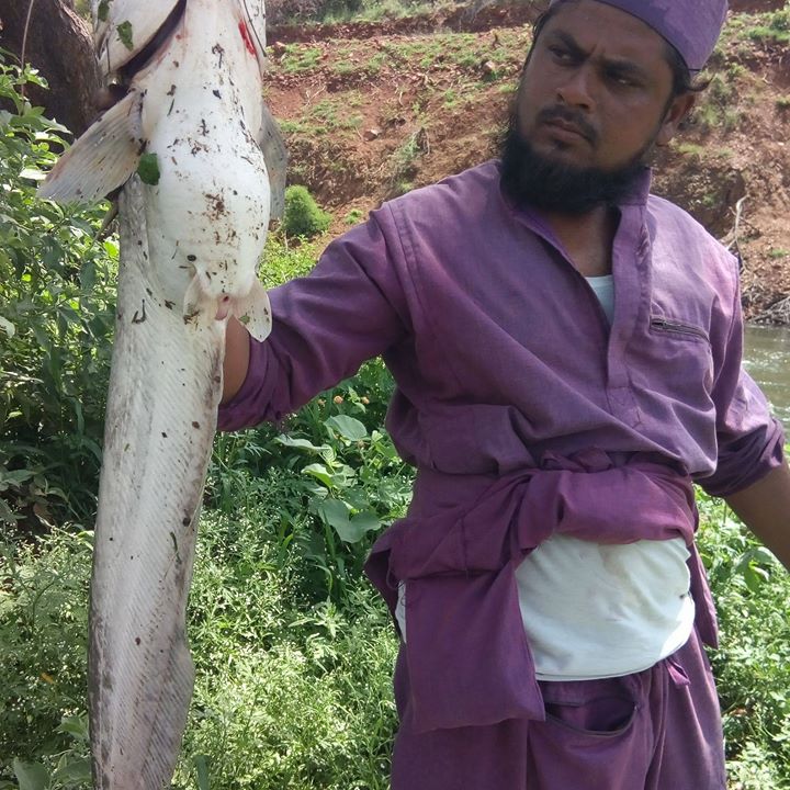 దాదావలీ