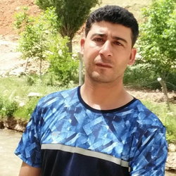 Soner