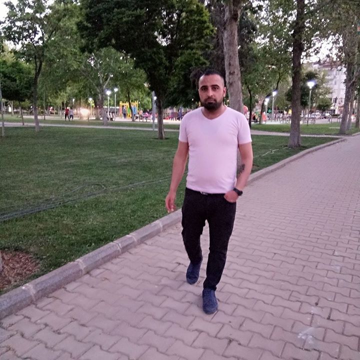 Şahin