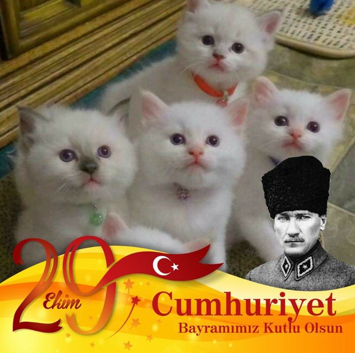 Nurşen