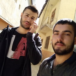 Şahin