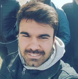 Şahin