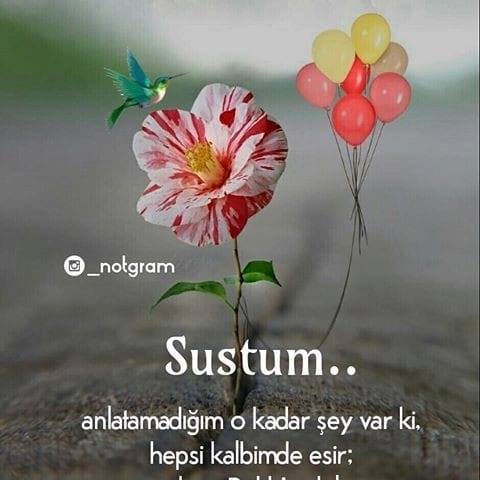 Dilek