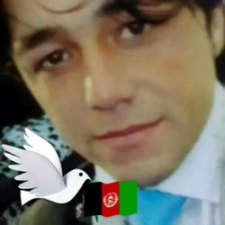 حبیب