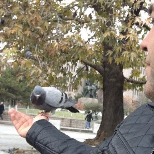 Yıldırım
