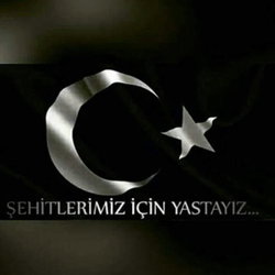 Merve