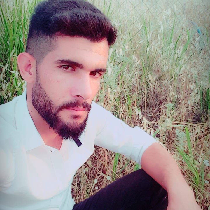 Şeref