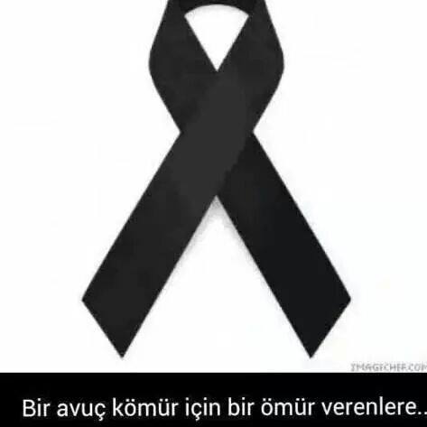 Erdal