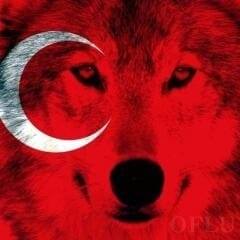 Enes