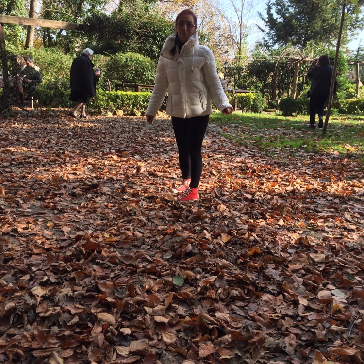 Handan