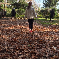 Handan
