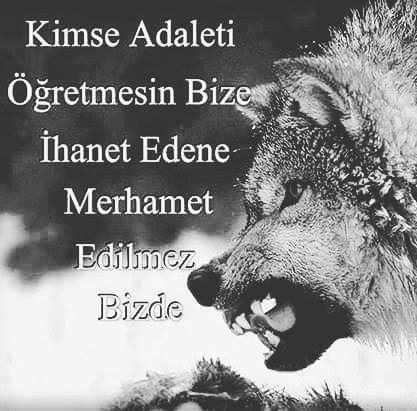 Önder