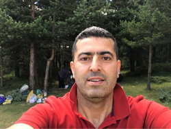 Sarı