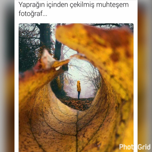 Çagri