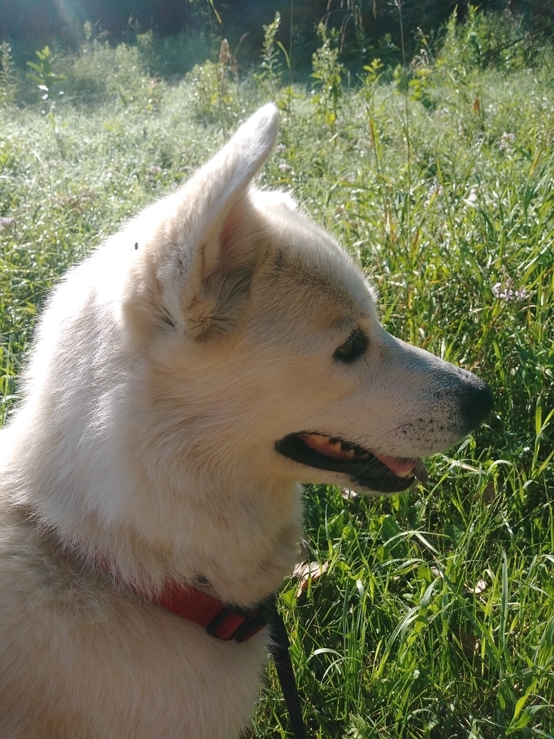 Lucy