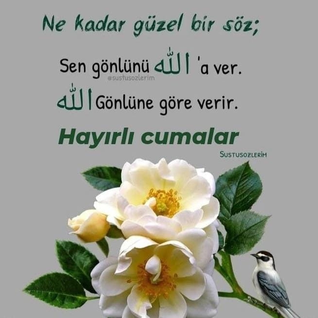 Halil
