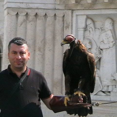 Halil
