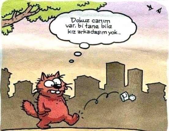 Veli