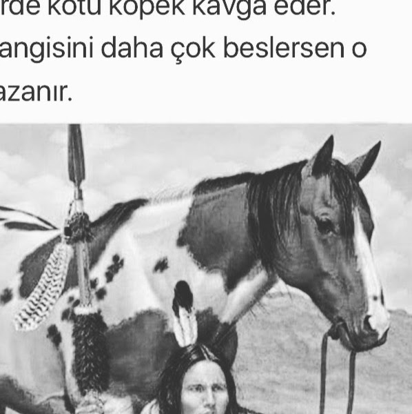 Ozgur