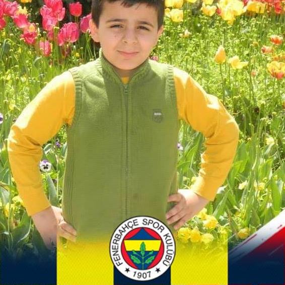 Halil