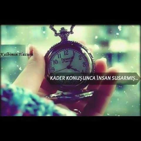 Mizgin