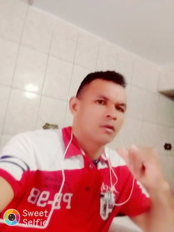 Dolglas