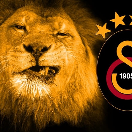Soner