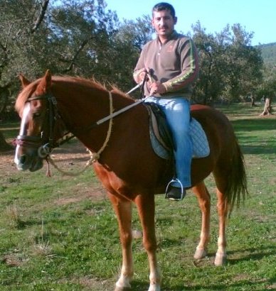 Hasbi