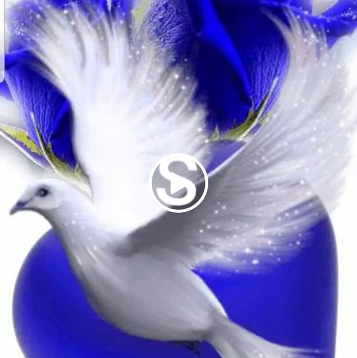 Sifi
