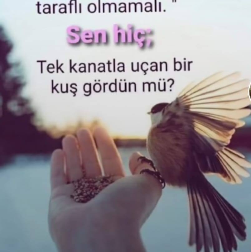 Hazal