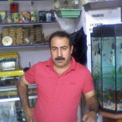 Kadir