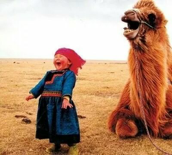 Handan