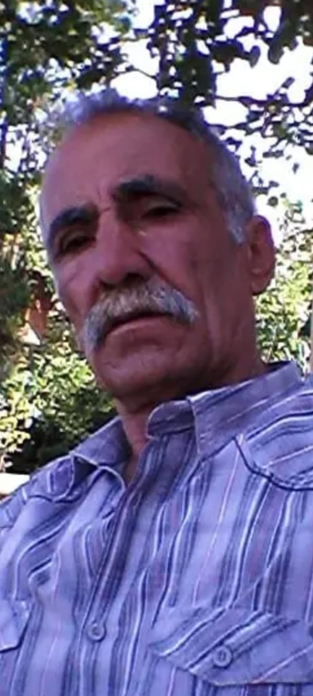 Yasar