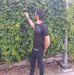 Ömer