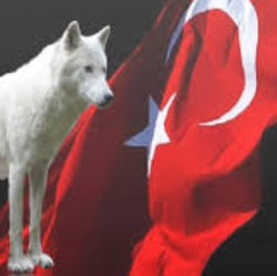 Şerafettin