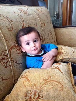 Erdal