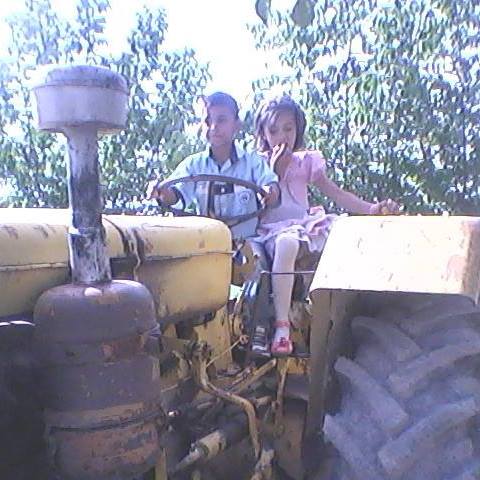 Halit