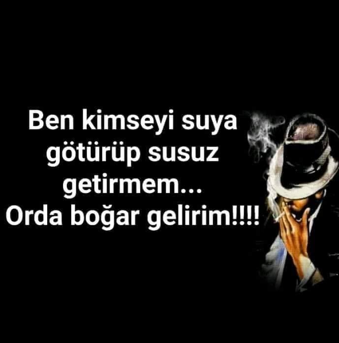 Ayca