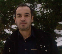 Şahin