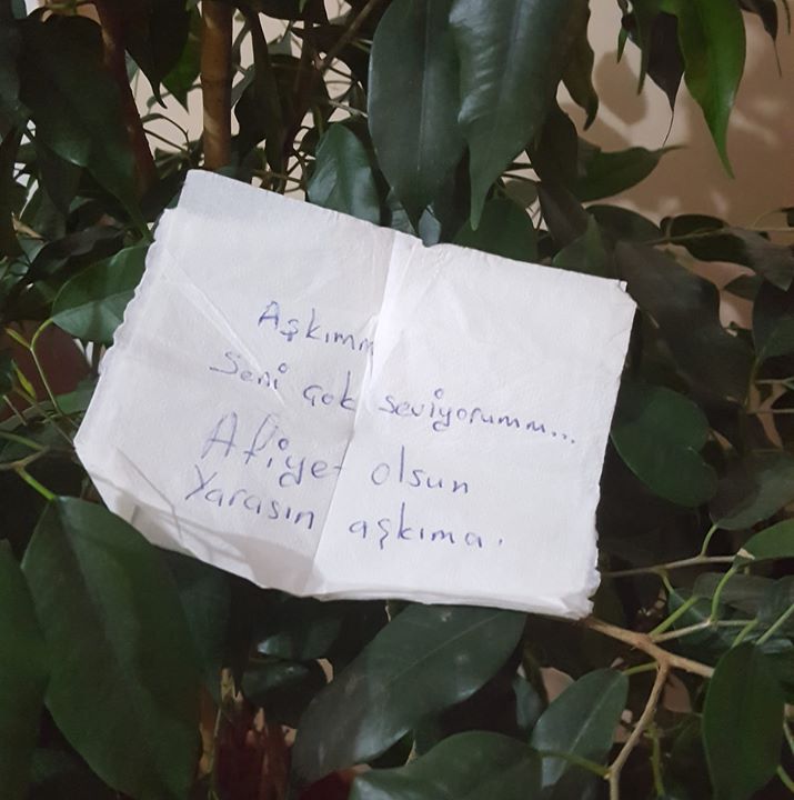 Nazli