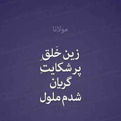 Imam