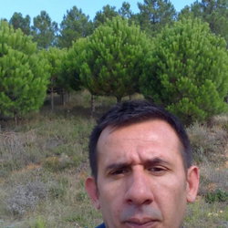 Ergin