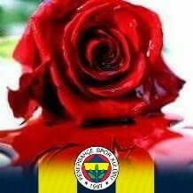 Serkan