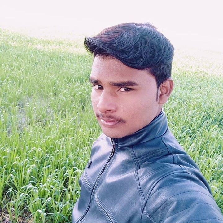 Rohit