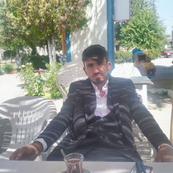 Ali