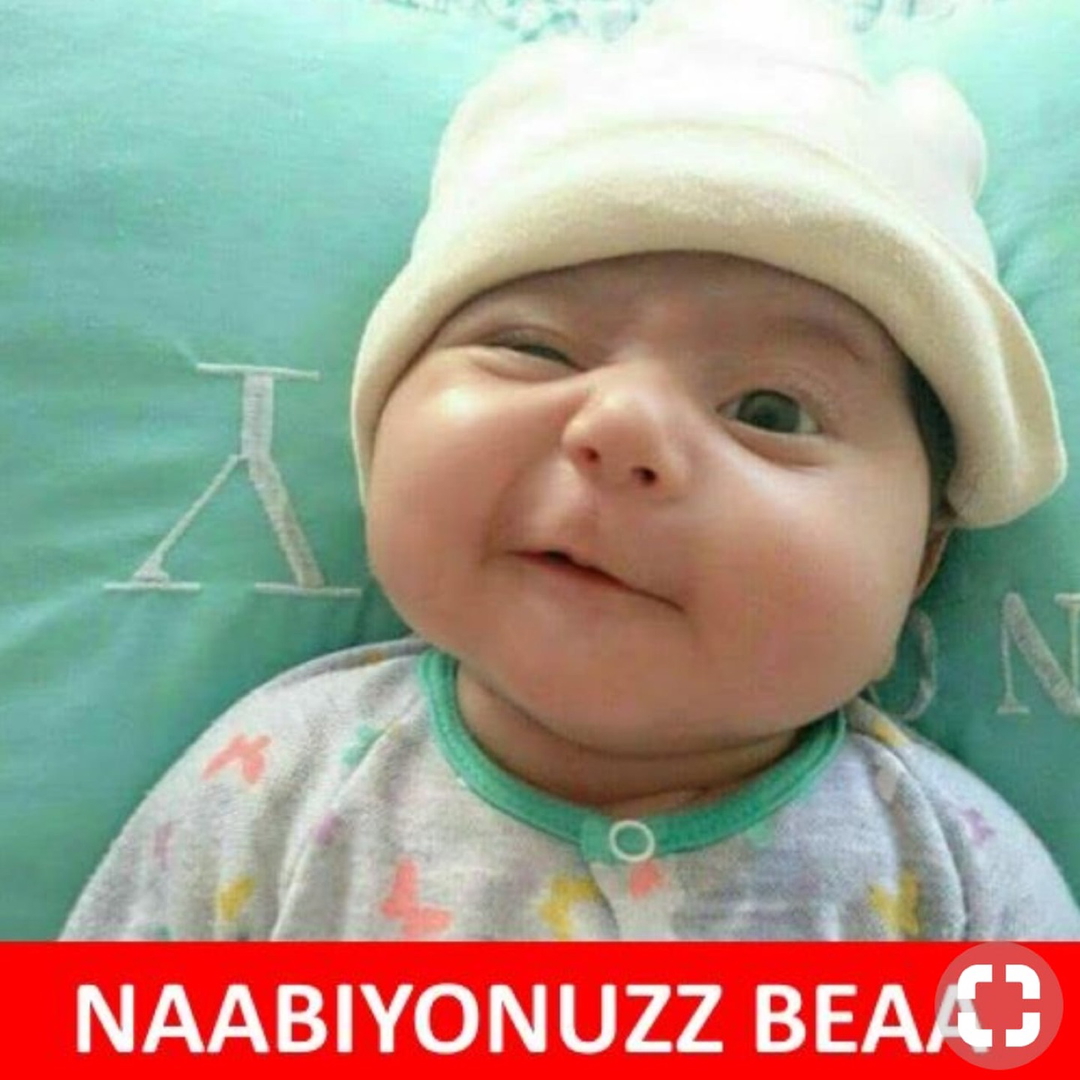 Volkan