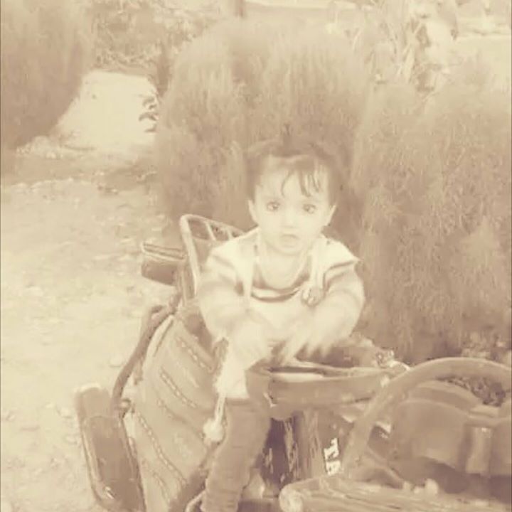 Najibullah